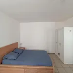 Joli Spacieux Au Rez De Chaussee Appartement *