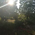 Appartement Joli Spacieux Au Rez De Chaussee *