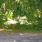 Joli Spacieux Au Rez De Chaussee
