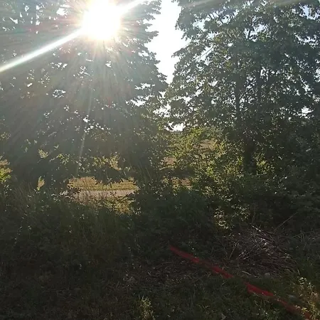 Lejlighed Joli Spacieux Au Rez De Chaussee *