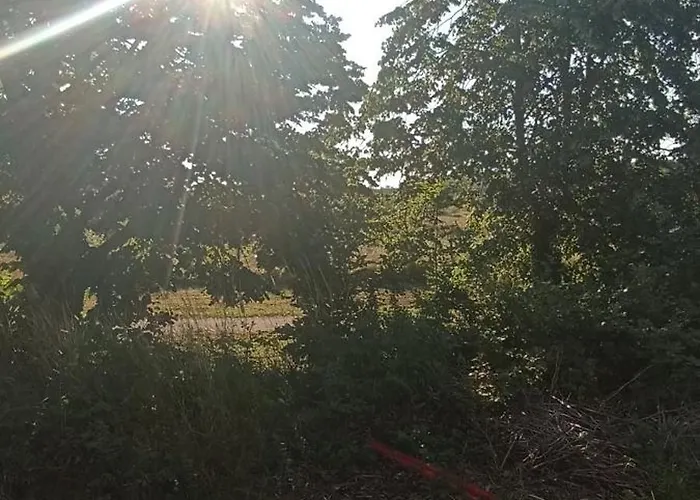 Appartamento Joli Spacieux Au Rez De Chaussée *