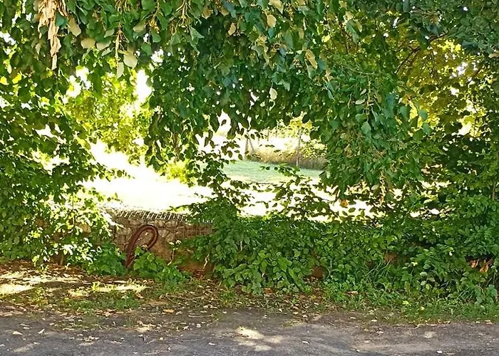 Joli Spacieux Au Rez De Chaussée